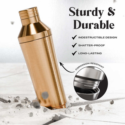 Insulated Cocktail Shaker
