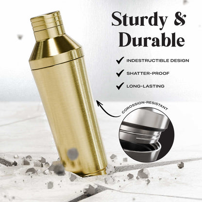 Insulated Cocktail Shaker