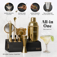 Original Cobbler Bartender Kit - Gold