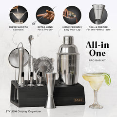 Original Cobbler Bartender Kit - Silver Black