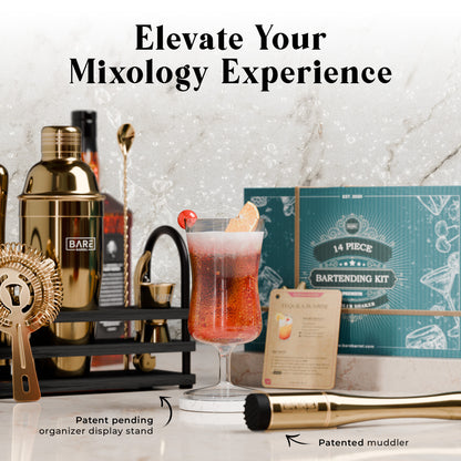 Modern Cobbler Bartender Kit